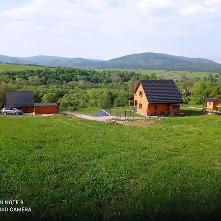 Domek W Swiatkowej Krempna Bagian luar foto