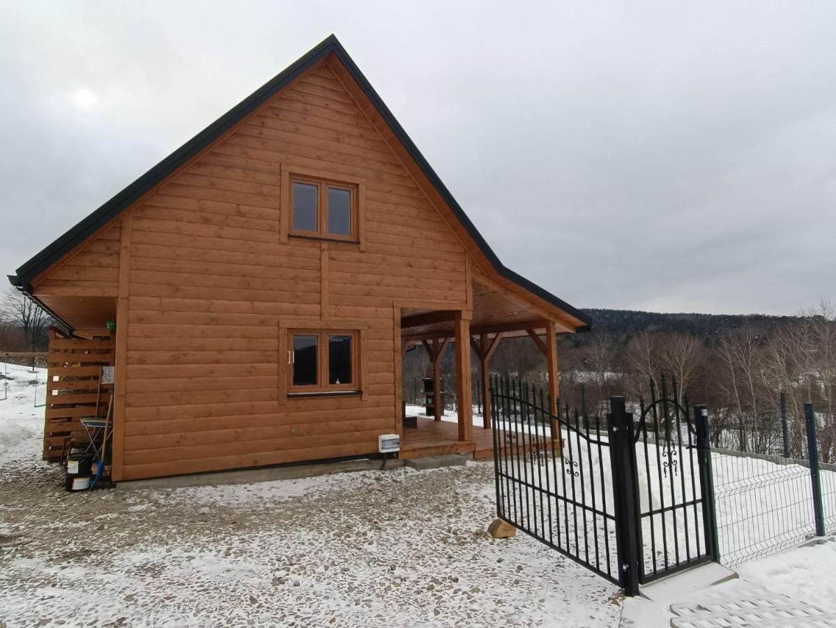 Domek W Swiatkowej Krempna Bagian luar foto